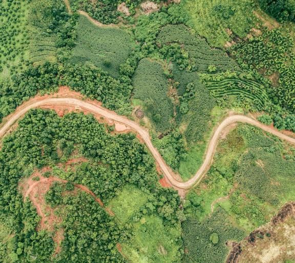 aerial image of dirt road